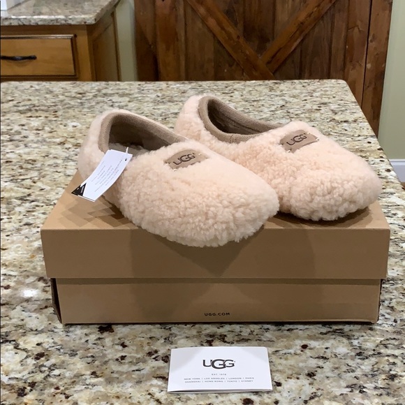 UGG Shoes - 🌟🎊LAST PAIR❤️🎉UGG birche superstar ,NEW size 7